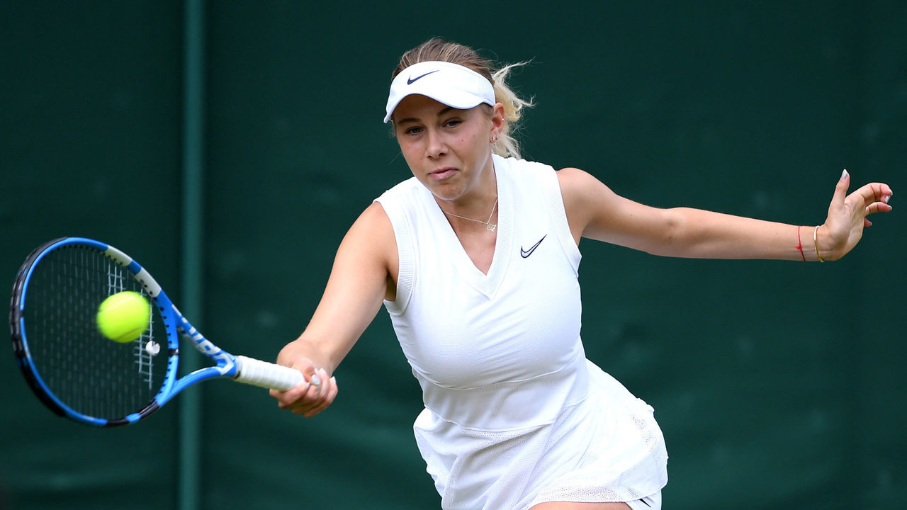 与业内解读 与业内解读