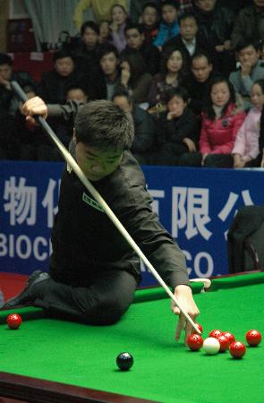 li li